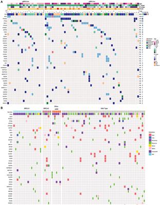 Genomic Profiling Comparison of Germline BRCA and Non-BRCA Carriers Reveals CCNE1 Amplification as a Risk Factor for Non-BRCA Carriers in Patients With Triple-Negative Breast Cancer